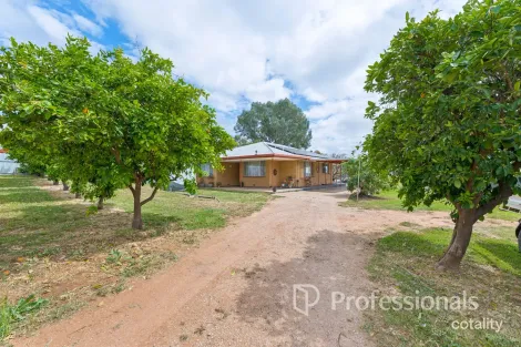 155 Second St, Merbein, VIC 3505