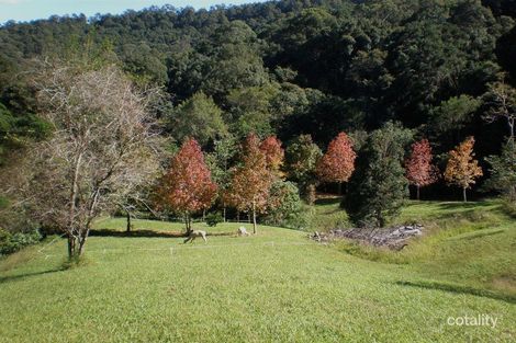 Property photo of 160 Kellys Road Eungella NSW 2484