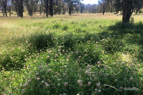 Property photo of 2782 Bonnay-Linton Road Bundarra NSW 2359