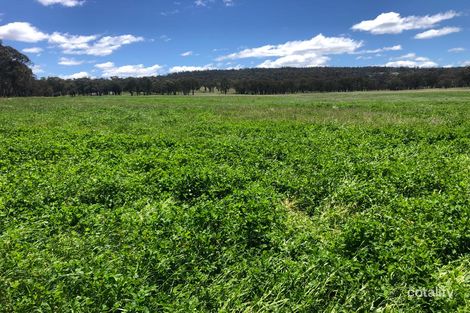 Property photo of 2782 Bonnay-Linton Road Bundarra NSW 2359