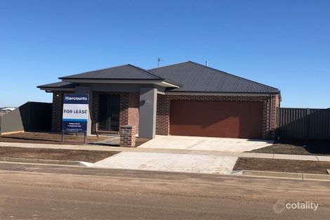 Property photo of 20 Sydney Way Alfredton VIC 3350