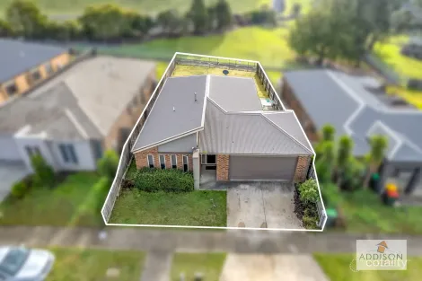 Property photo of 39 Mountain Grey Circuit Morwell VIC 3840