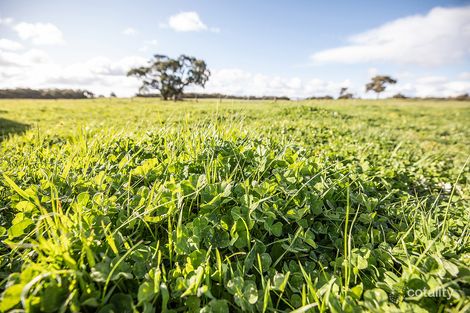 503 Cluain Lane, Fox, SA 5272