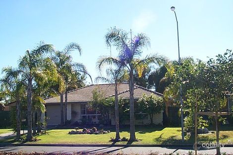 11 Regatta Bvd, Wurtulla, QLD 4575