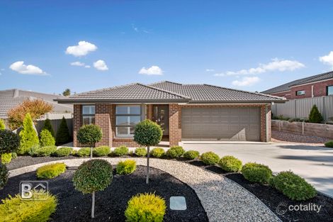 Property photo of 11 Klim Avenue Kangaroo Flat VIC 3555