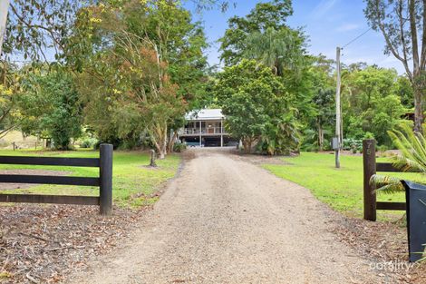 Property photo of 75 Seib Road Eumundi QLD 4562