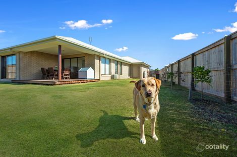 Property photo of 7 Periwinkle Street Palmview QLD 4553