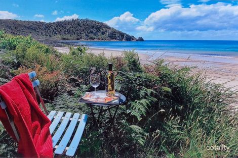 149 Irby Bvd, Sisters Beach, TAS 7321