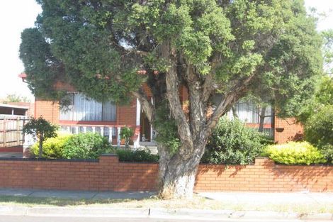 Property photo of 11 Erin Street Preston VIC 3072