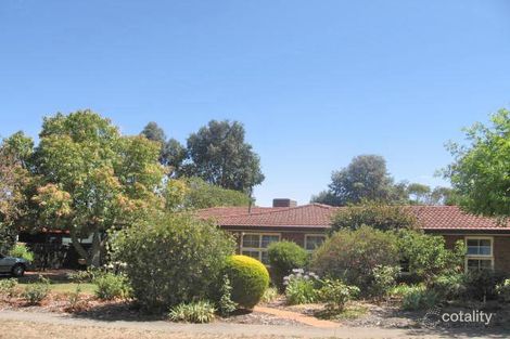 6 Solandra Cres, Modbury North, SA 5092