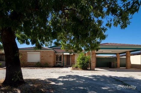 Property photo of 59 Chisholm Circle Seville Grove WA 6112