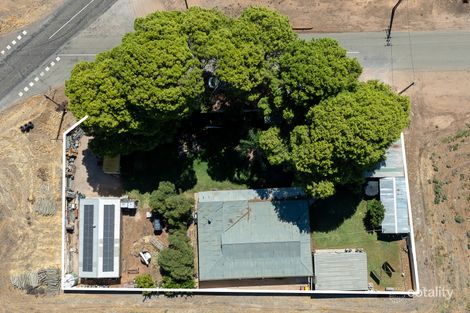 Property photo of 158 Paroo Street Renmark North SA 5341