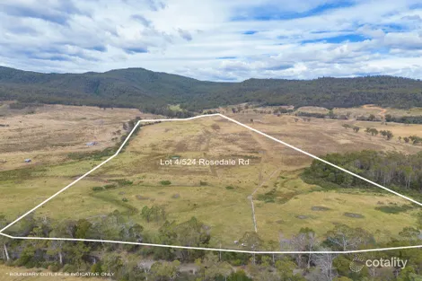 Property photo of 524 Rosedale Road Bicheno TAS 7215