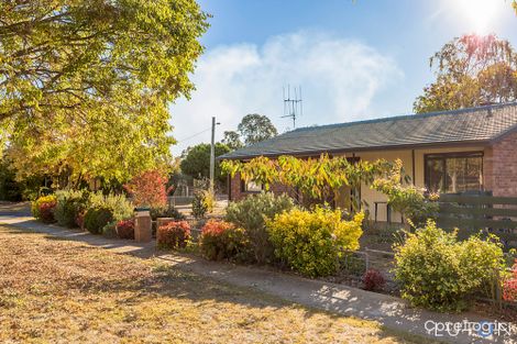 Property photo of 49 Sherbrooke Street Ainslie ACT 2602
