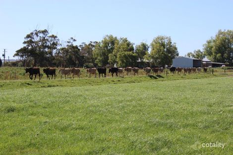 100 Park Rd, Togari, TAS 7330