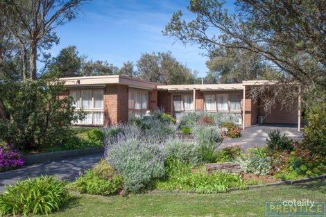 41 Valley Dr, Rye, VIC 3941