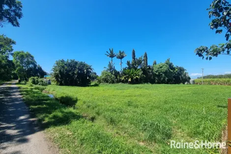 Property photo of 39 McDowall Lane Lower Daintree QLD 4873