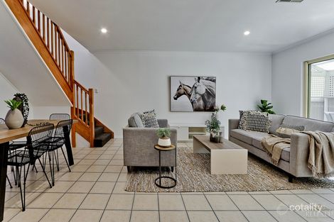 4/149 Anzac Hwy, Kurralta Park, SA 5037