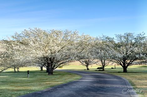 827 Princes Hwy, Mogo, NSW 2536