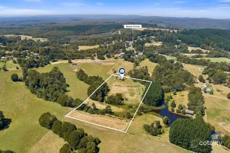 22 Old Main Rd, Beech Forest, VIC 3237