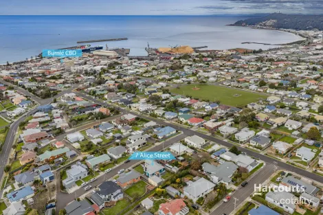 7 Alice St, Montello, TAS 7320