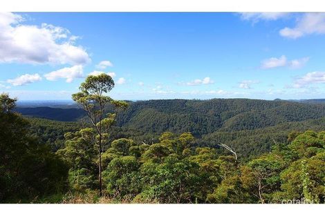 Property photo of 2196 Springbrook Road Springbrook QLD 4213