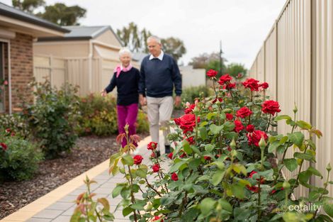 Property photo of 30 Murray Dyer Avenue Renmark SA 5341