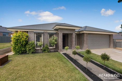 15 Riversdale Ave, Eaglehawk, VIC 3556