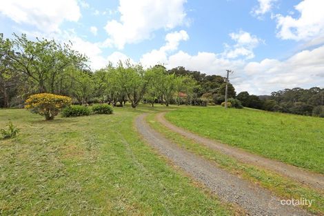 Property photo of 3 Frond Drive The Patch VIC 3792