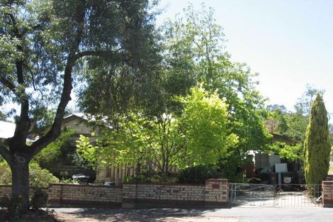 6a Brandreth St, Tusmore, SA 5065