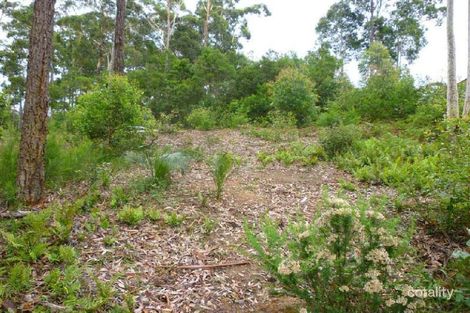 Property photo of 22 Litchfield Crescent Long Beach NSW 2536
