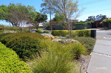 Property photo of 2B Bradey Street Mitcham SA 5062