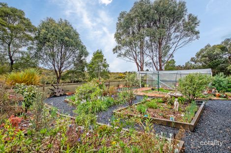 Property photo of 42 Mulcahy Street Zeehan TAS 7469