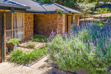 Property photo of 11 Austral Crescent Pacific Pines QLD 4211