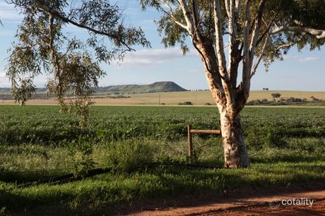 Property photo of 59 Polwarth Parade Deepdale WA 6532