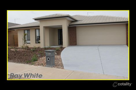 38 Grassbird Dr, Point Cook, VIC 3030