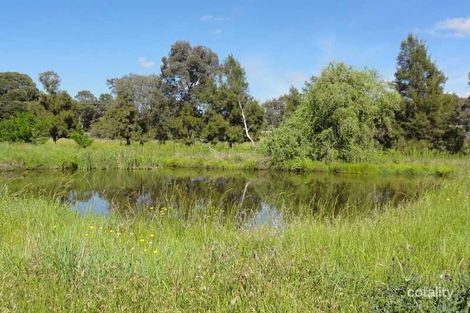 19 Springflat Dr, Gundagai, NSW 2722