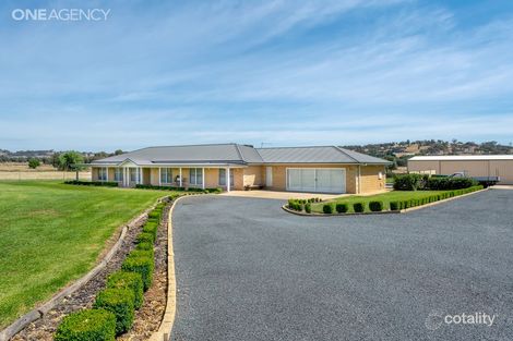 55 Plane Tree Dr, Springvale, NSW 2650