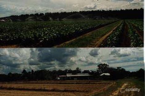 179 Scotts Rd, Glass House Mountains, QLD 4518