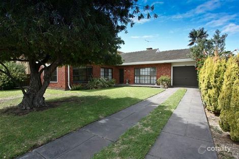 Property photo of 49 Adelphi Crescent Glenelg North SA 5045