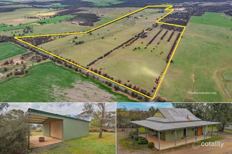 388 Tallimba Rd, West Wyalong, NSW 2671