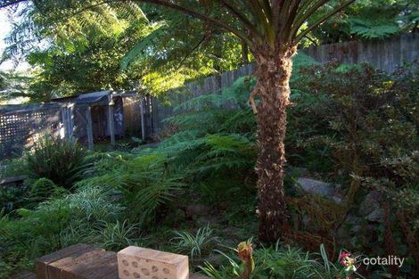 Property photo of 10 Berry Place Surf Beach NSW 2536