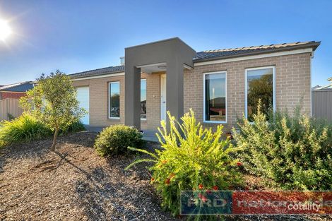 12 Elegante Rd, Winter Valley, VIC 3358