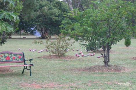 Property photo of 14 Kroombit Road Bouldercombe QLD 4702