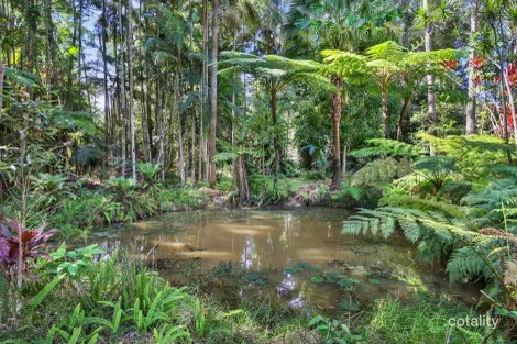 Property photo of 25 Victor Avenue Palmview QLD 4553