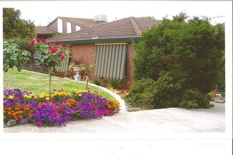 Property photo of 266 Desmond Street Lavington NSW 2641