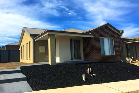 Property photo of 7 Havana Parade Pakenham VIC 3810