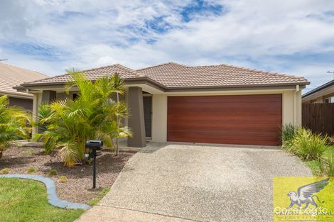 Property photo of 22 Bellenden Street North Lakes QLD 4509