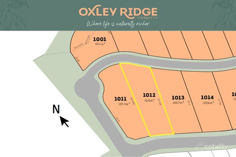 24 Wainwright Dr, Cobbitty, NSW 2570