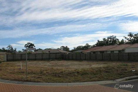 Property photo of 25 McMillan Street Drewvale QLD 4116